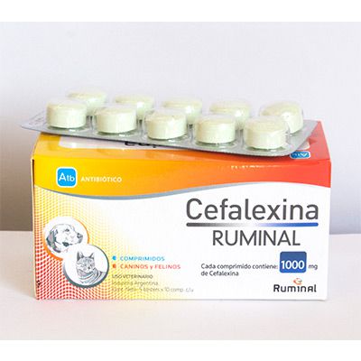 Cefalexina Ruminal 500 mg 
