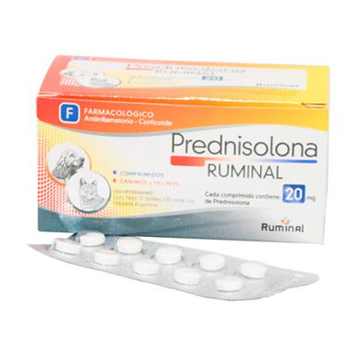 Prednisolona 20 mg Ruminal